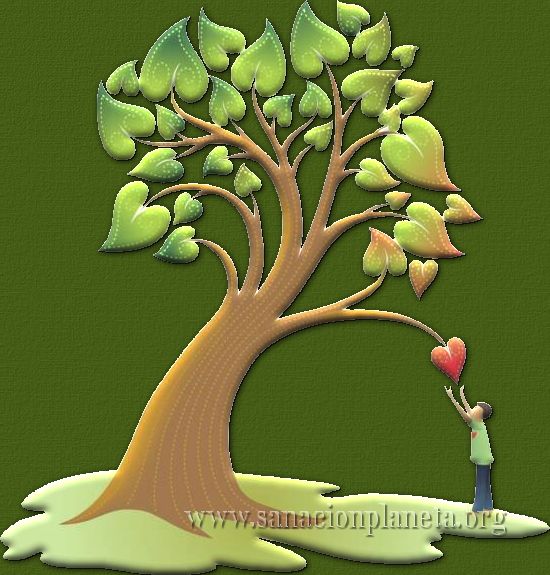 sanaci�n,planeta,ecologia,